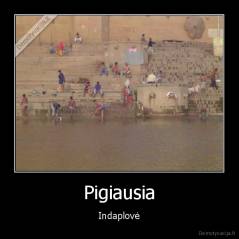 Pigiausia - Indaplovė