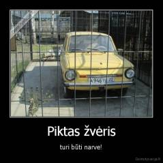 Piktas žvėris - turi būti narve!