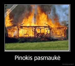 Pinokis pasmaukė - 