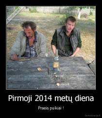 Pirmoji 2014 metų diena - Praeis puikiai !