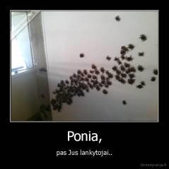 Ponia, - pas Jus lankytojai..