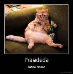 Prasideda - katino dienos