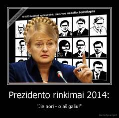 Prezidento rinkimai 2014: - "Jie nori - o aš galiu!"