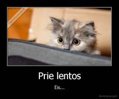 Prie lentos - Eis...