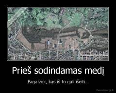 Prieš sodindamas medį - Pagalvok, kas iš to gali išeiti...