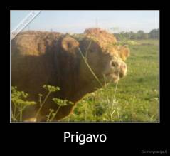 Prigavo - 