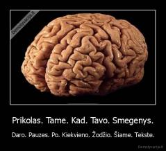 Prikolas. Tame. Kad. Tavo. Smegenys. - Daro. Pauzes. Po. Kiekvieno. Žodžio. Šiame. Tekste.