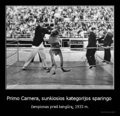 Primo Carnera, sunkiosios kategorijos sparingo  - čempionas prieš kengūrą, 1933 m.