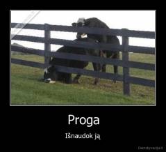 Proga - Išnaudok ją