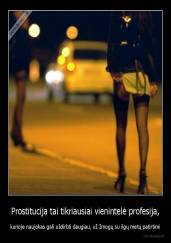 Prostitucija tai tikriausiai vienintelė profesija, - kurioje naujokas gali uždirbti daugiau, už žmogų su ilgų metų patirtimi