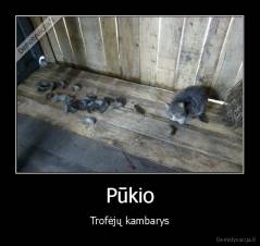 Pūkio - Trofėjų kambarys