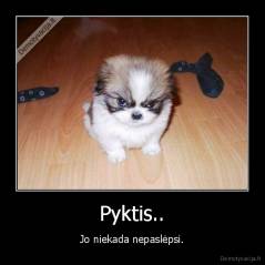 Pyktis.. - Jo niekada nepaslėpsi.