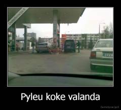 Pyleu koke valanda - 