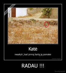 RADAU !!! - 