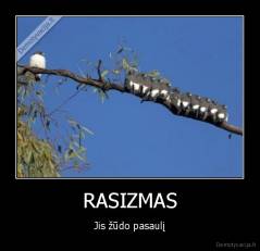 RASIZMAS - Jis žūdo pasaulį