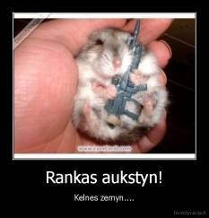 Rankas aukstyn! - Kelnes zemyn....