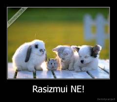 Rasizmui NE! - 