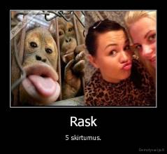 Rask - 5 skirtumus.