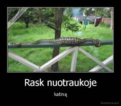 Rask nuotraukoje - katiną