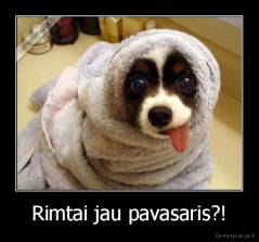 Rimtai jau pavasaris?! - 