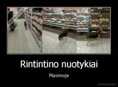 Rintintino nuotykiai - Maximoje