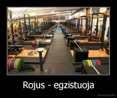 Rojus - egzistuoja - 