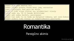 Romantika - Pareigūno akimis