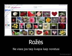 Rožės - Ne visos jos taip kvepia kaip noretusi