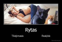 Rytas - Tikėjimasis                        Realybė