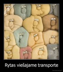 Rytas viešajame transporte - 