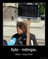 Ryte - mitingas. - Vakare - Angry Birds!