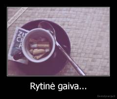 Rytinė gaiva... - 