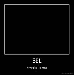 SEL - Storulių kiemas