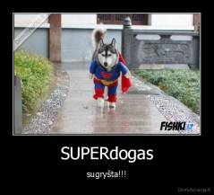 SUPERdogas - sugryšta!!!