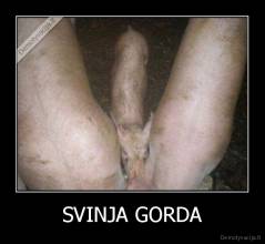 SVINJA GORDA - 