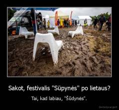 Sakot, festivalis "Sūpynės" po lietaus? - Tai, kad labiau, "Šūdynės".