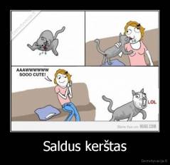 Saldus kerštas - 