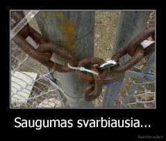 Saugumas svarbiausia... - 