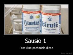 Sausio 1  - Pasaulinė pachmielo diena