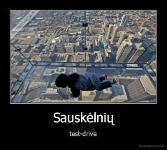 Sauskėlnių - test-drive