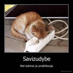 Savizudybe - Net katinai ja praktikuoja