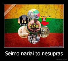 Seimo nariai to nesupras - 