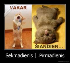 Sekmadienis |  Pirmadienis - 