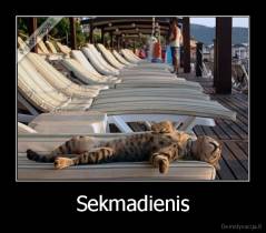 Sekmadienis - 