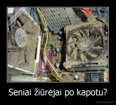 Seniai žiūrėjai po kapotu? - 