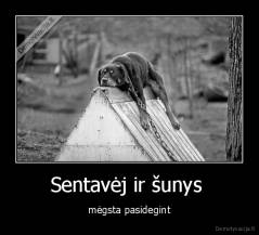 Sentavėj ir šunys  - mėgsta pasidegint