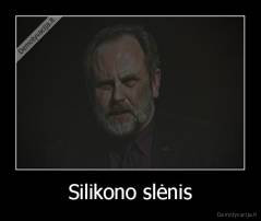 Silikono slėnis - 