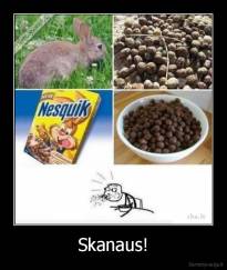 Skanaus! - 