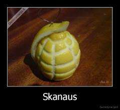 Skanaus - 