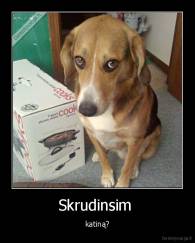 Skrudinsim  - katiną?